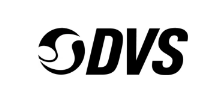 DVS Shoes